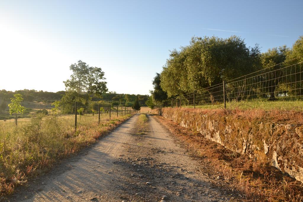Quinta Dos Carvalhos Βίλα Καστέλο Μπράνκο Εξωτερικό φωτογραφία