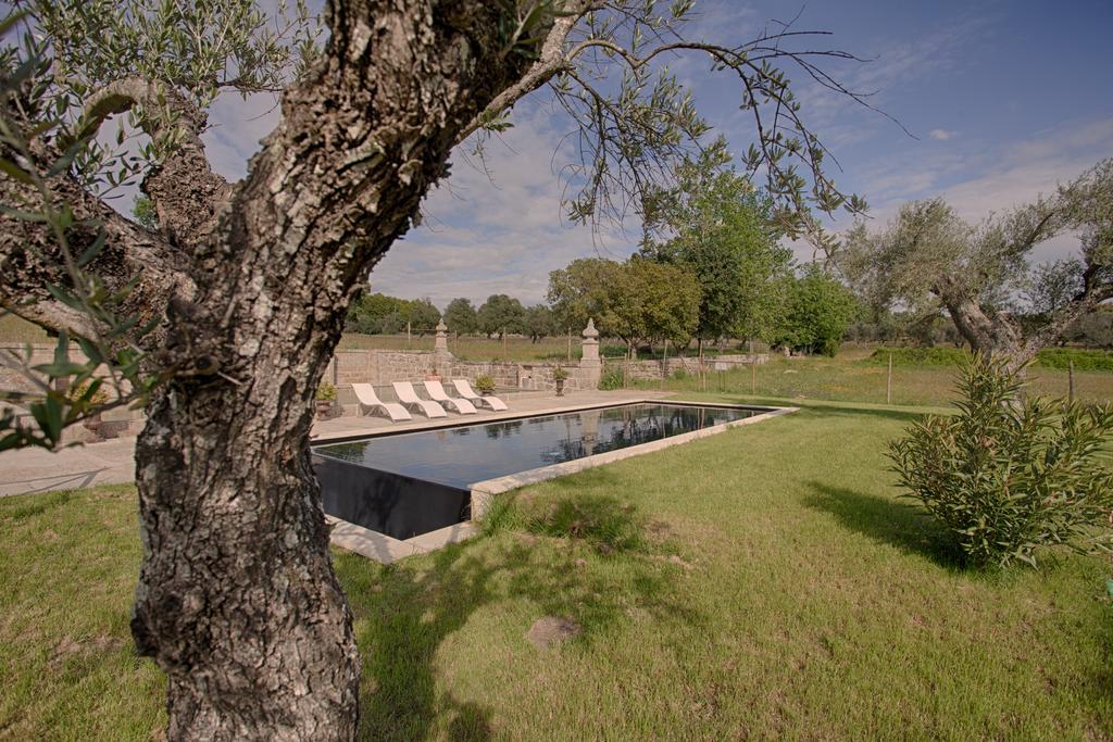 Quinta Dos Carvalhos Βίλα Καστέλο Μπράνκο Εξωτερικό φωτογραφία