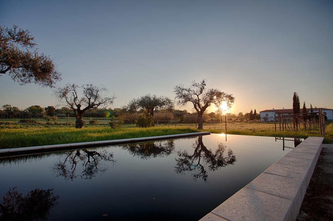 Quinta Dos Carvalhos Βίλα Καστέλο Μπράνκο Εξωτερικό φωτογραφία
