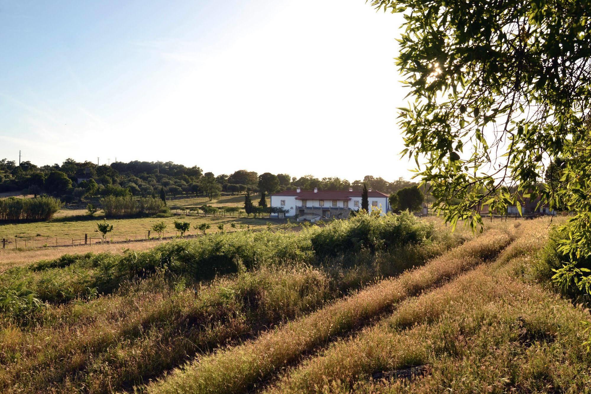 Quinta Dos Carvalhos Βίλα Καστέλο Μπράνκο Εξωτερικό φωτογραφία