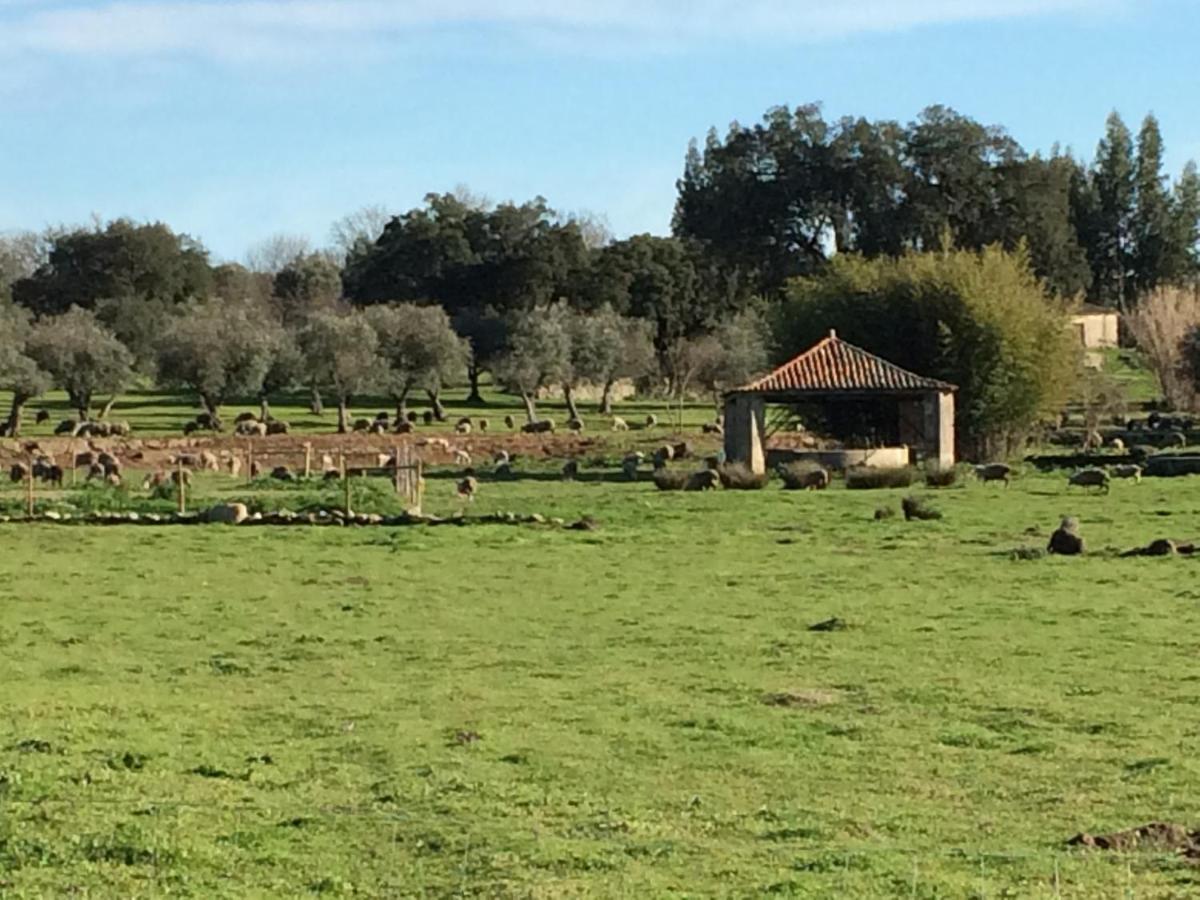 Quinta Dos Carvalhos Βίλα Καστέλο Μπράνκο Εξωτερικό φωτογραφία